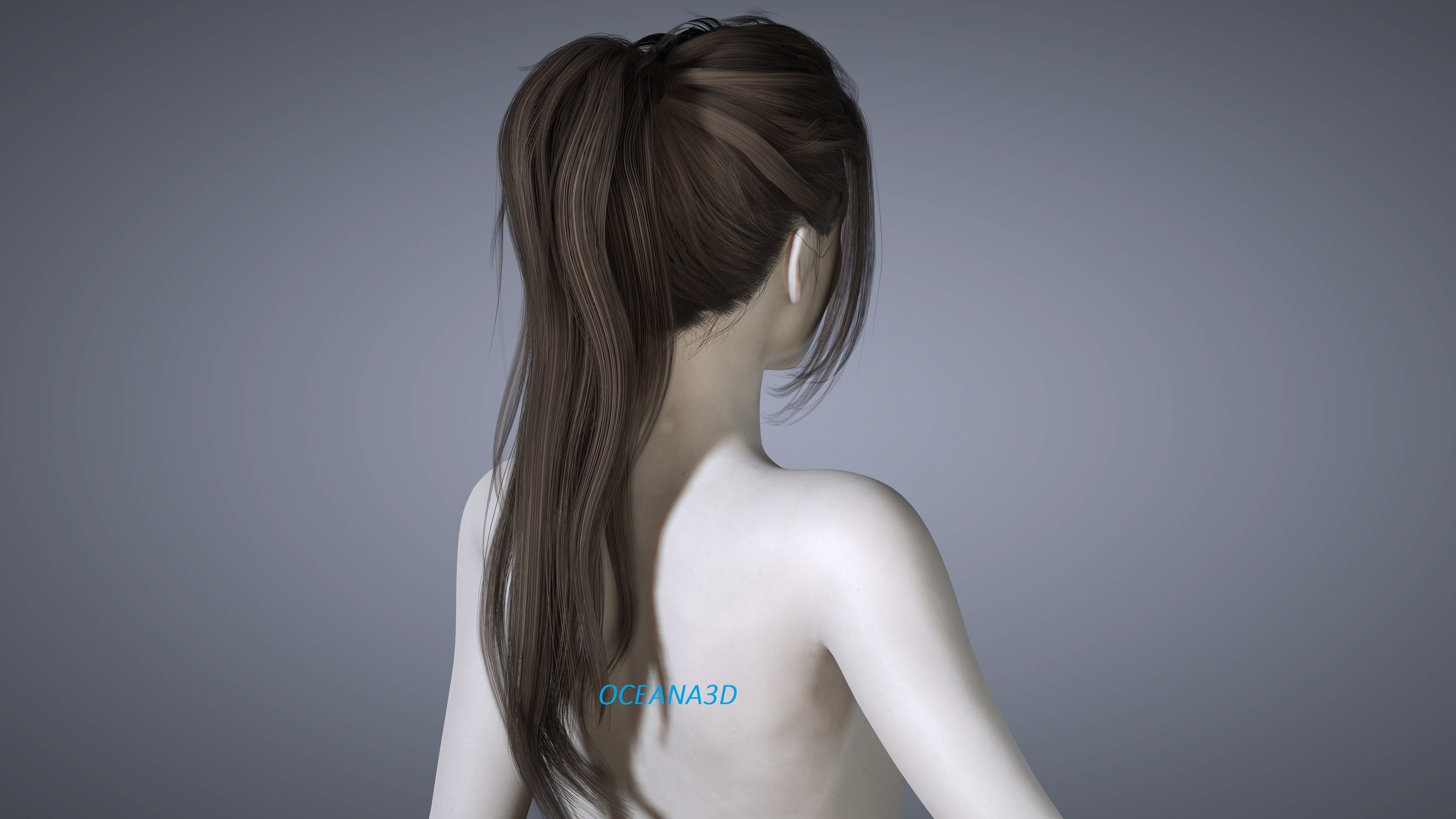 Realistic 3D Long PonyTail Dark Brown Low-poly 3D model_2