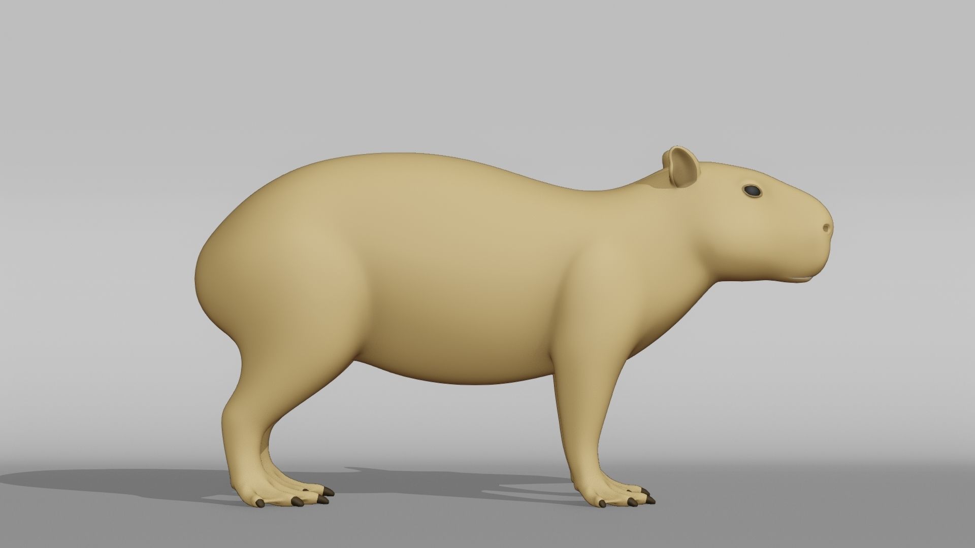 Capybara Base Mesh Low-poly 3D model_8