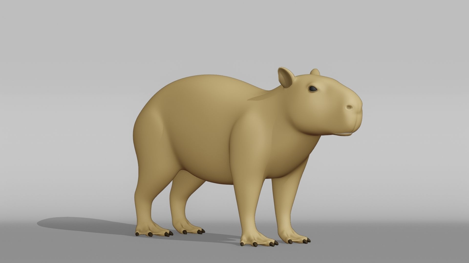 Capybara Base Mesh Low-poly 3D model_6
