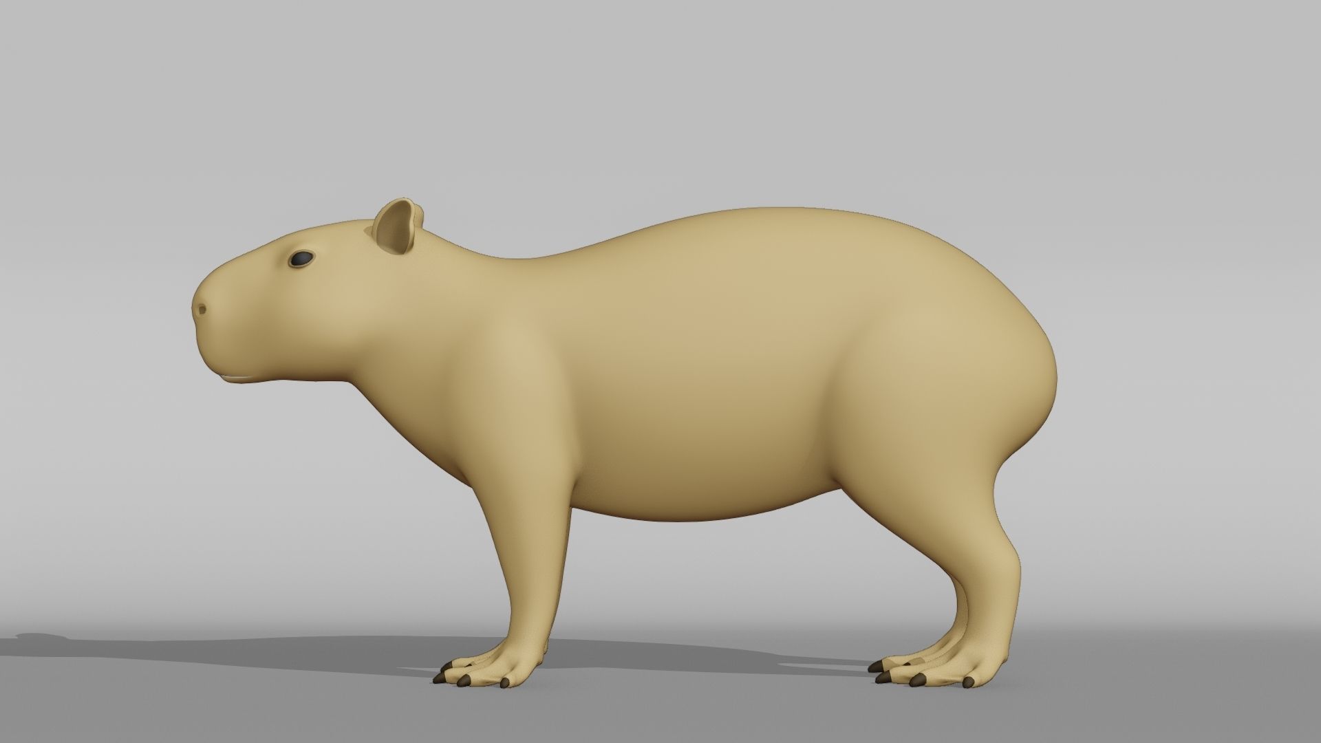 Capybara Base Mesh Low-poly 3D model_10