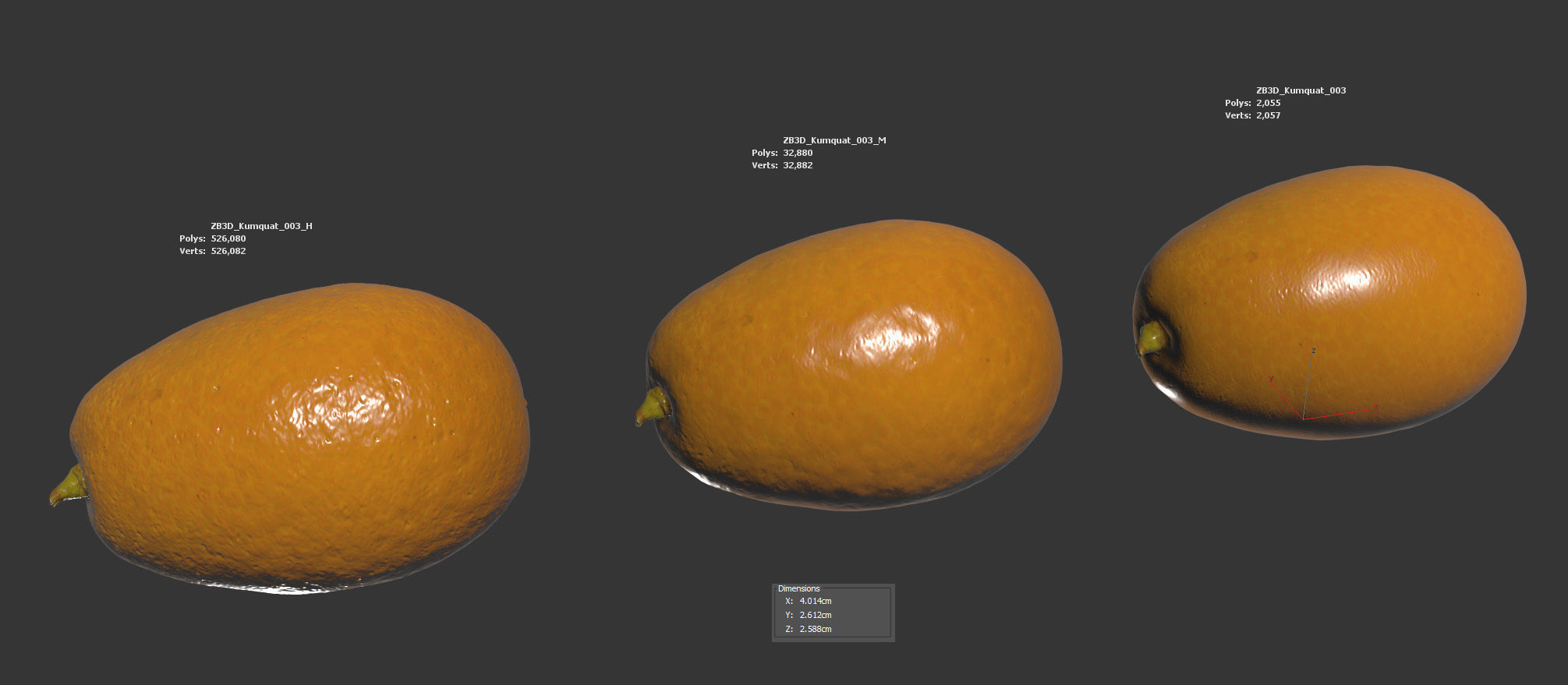 Kumquat 3D model_5