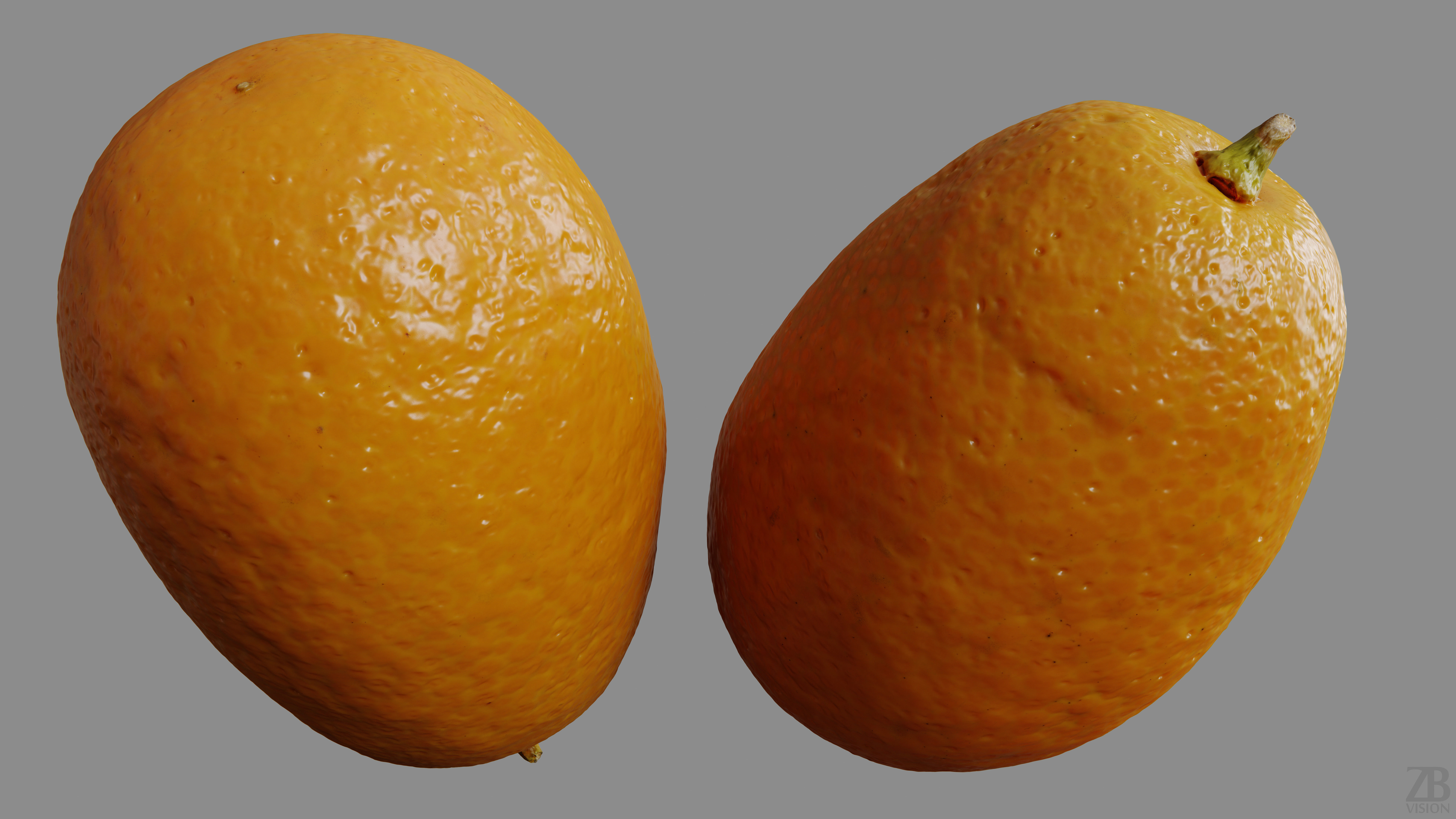 Kumquat 3D model_9