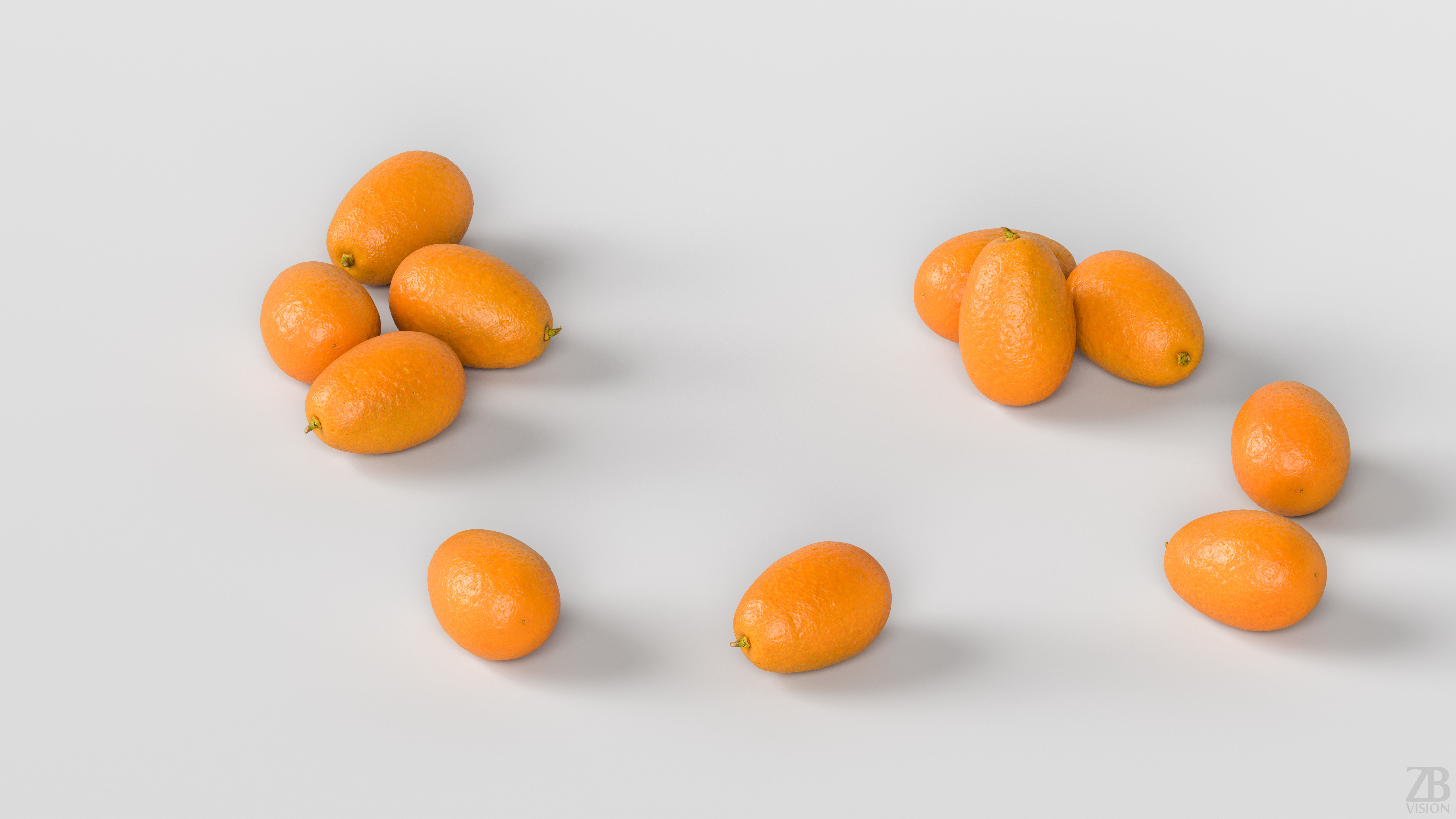 Kumquat 3D model_2