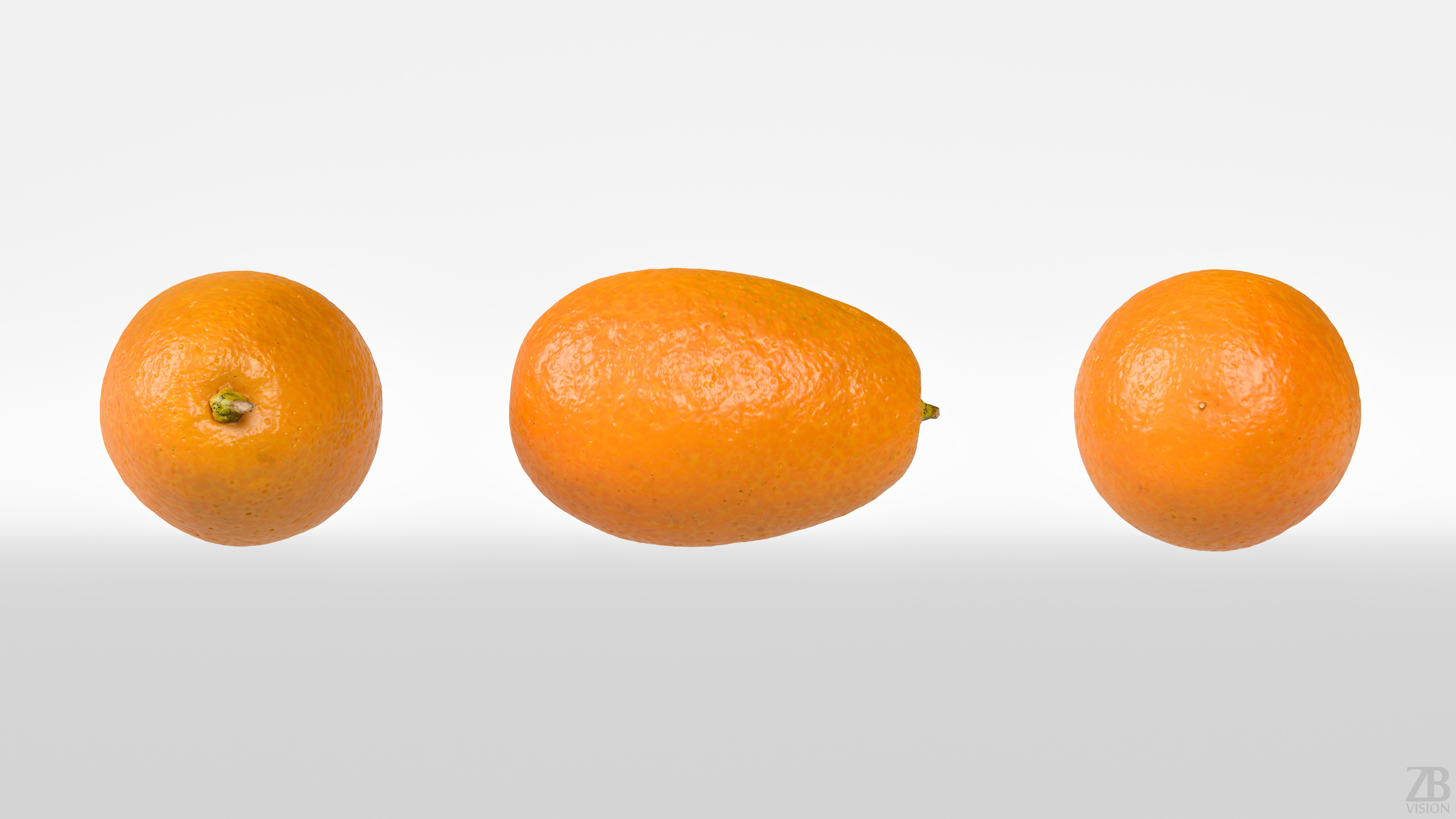 Kumquat 3D model_4