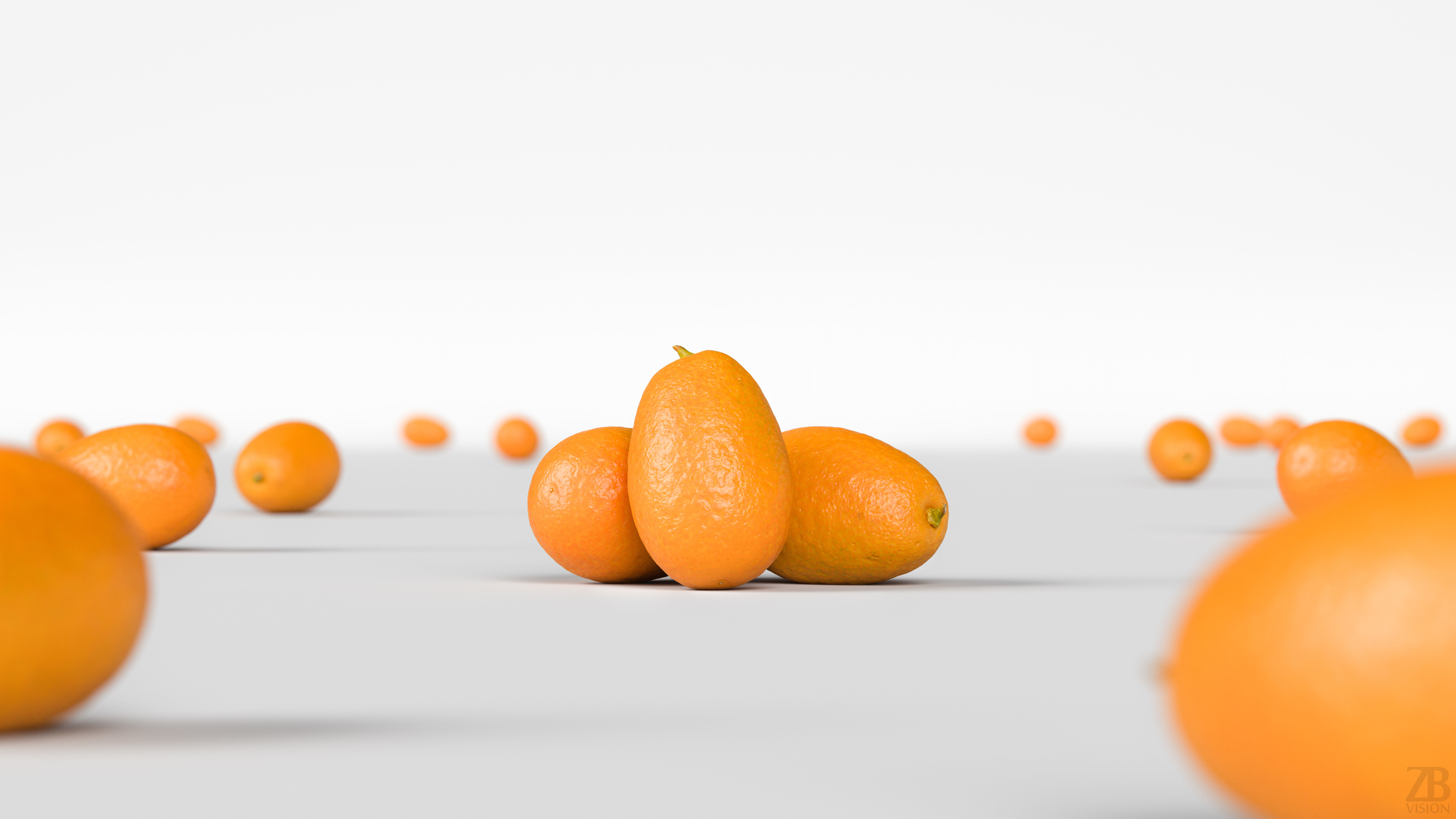 Kumquat 3D model_1