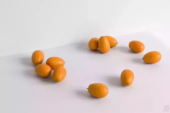 Kumquat 3D model