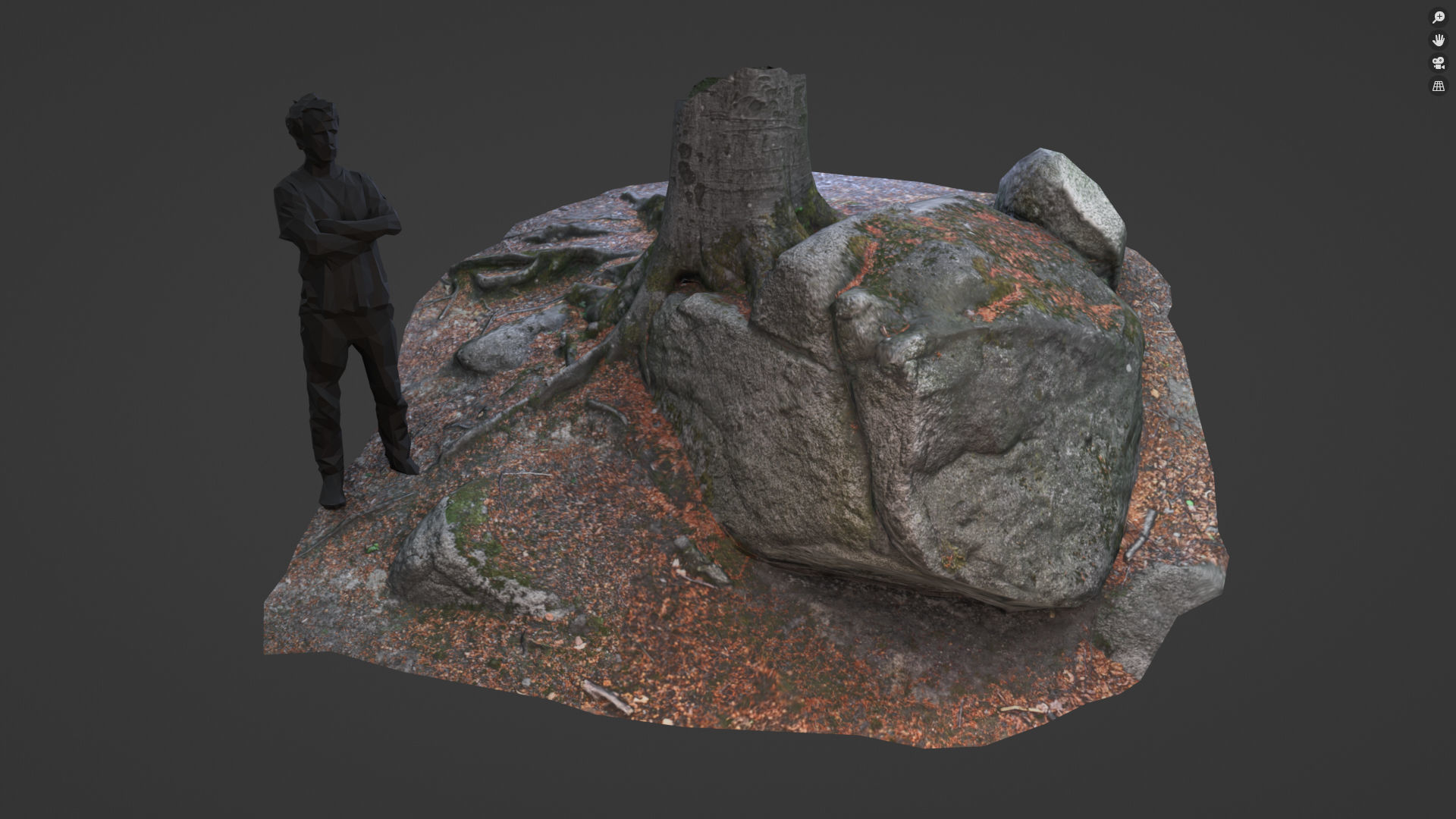 Beech forest ground - 4 o 6 - scan PBR Game ready Collection Low-poly 3D model_5