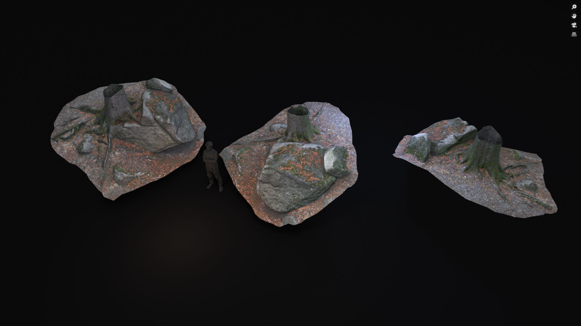 Beech forest ground - 4 o 6 - scan PBR Game ready Collection Low-poly 3D model_4