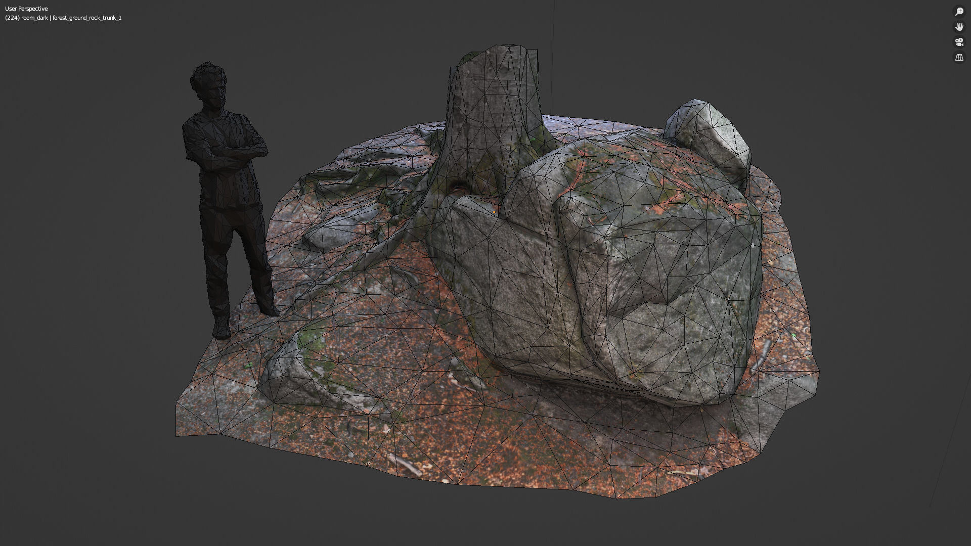 Beech forest ground - 4 o 6 - scan PBR Game ready Collection Low-poly 3D model_6