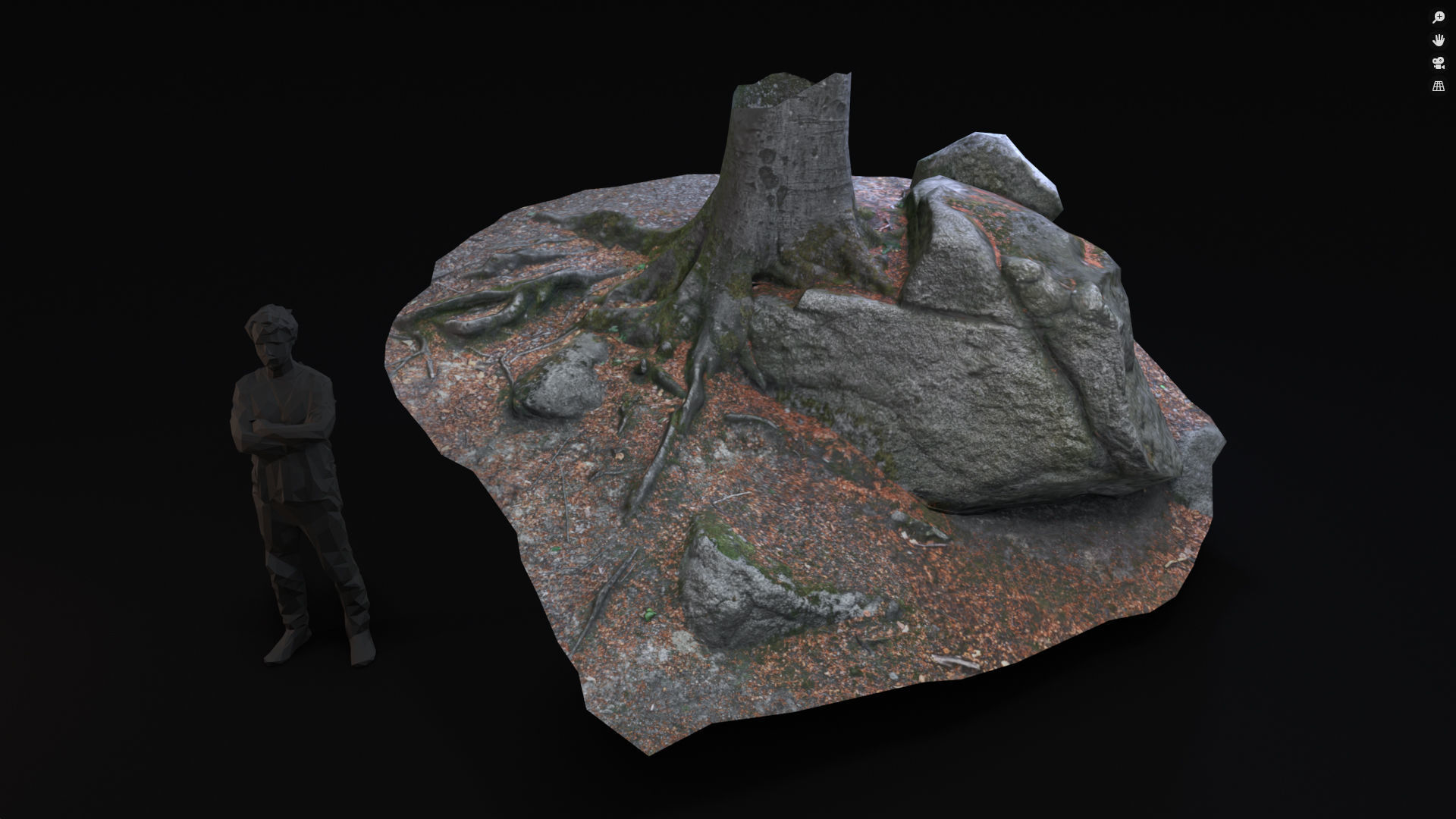 Beech forest ground - 4 o 6 - scan PBR Game ready Collection Low-poly 3D model_2