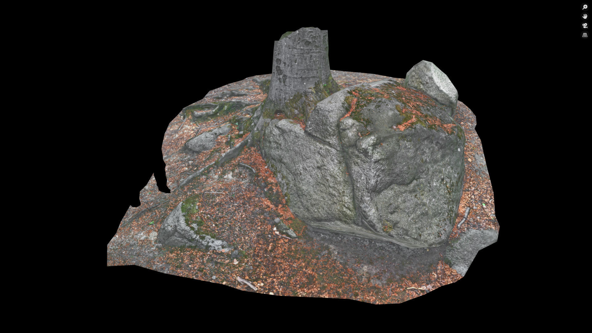 Beech forest ground - 4 o 6 - scan PBR Game ready Collection Low-poly 3D model_8