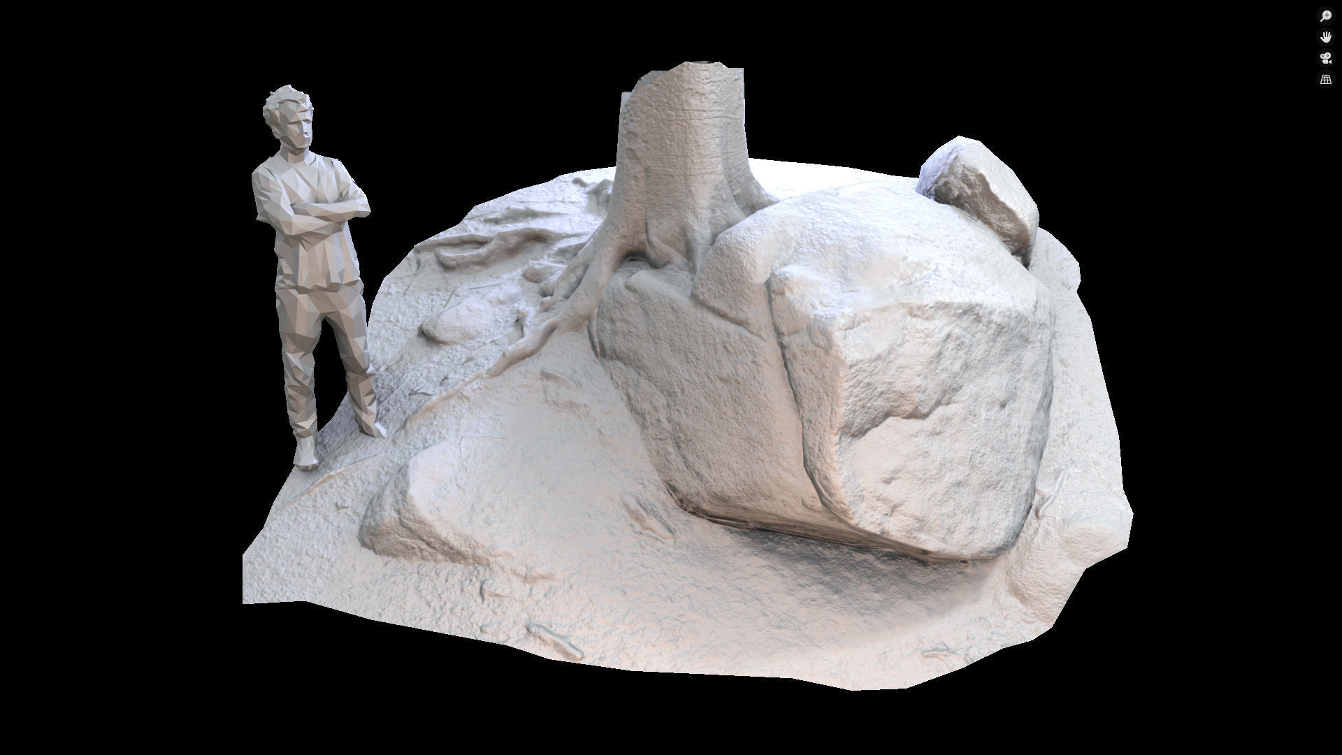 Beech forest ground - 4 o 6 - scan PBR Game ready Collection Low-poly 3D model_7