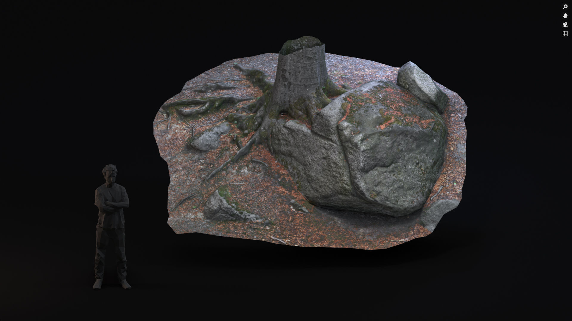 Beech forest ground - 4 o 6 - scan PBR Game ready Collection Low-poly 3D model_3