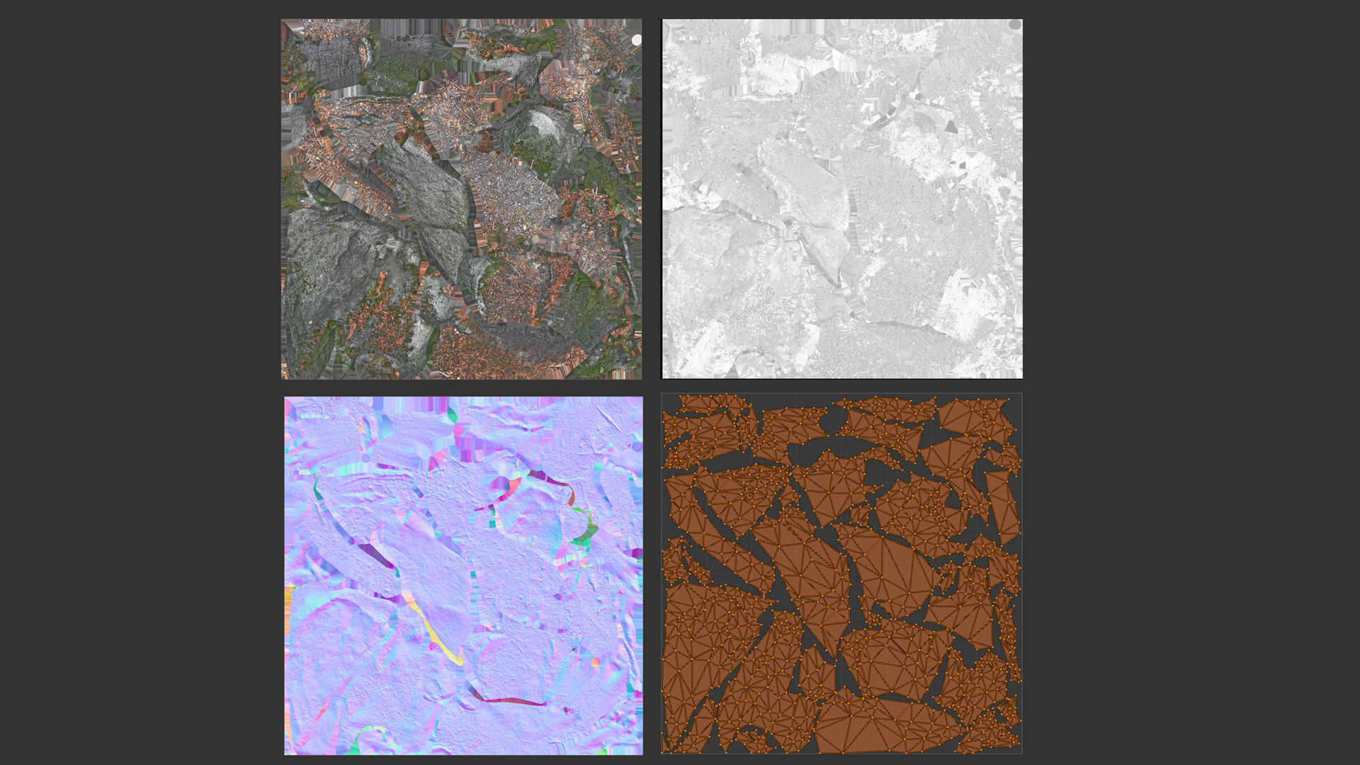 Beech forest ground - 4 o 6 - scan PBR Game ready Collection Low-poly 3D model_11