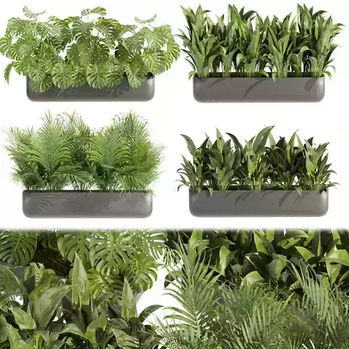 Collection plant vol 449 - peace lily - monstera - palm 