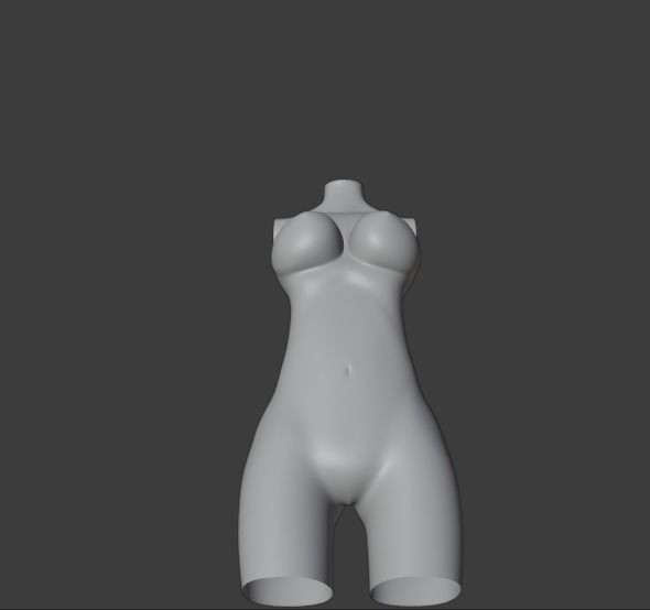  female torso Free 3D model_3