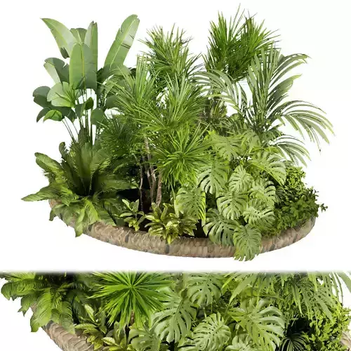 Collection plant vol 450 - outdoor - garden - leaf