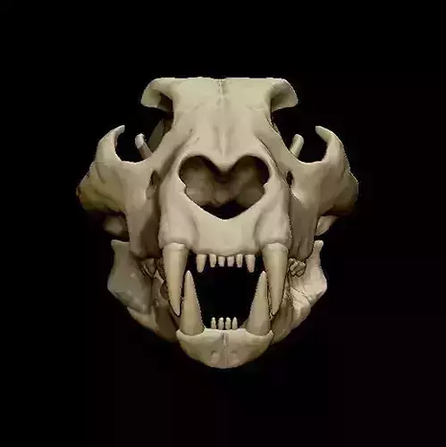 Lion Skull