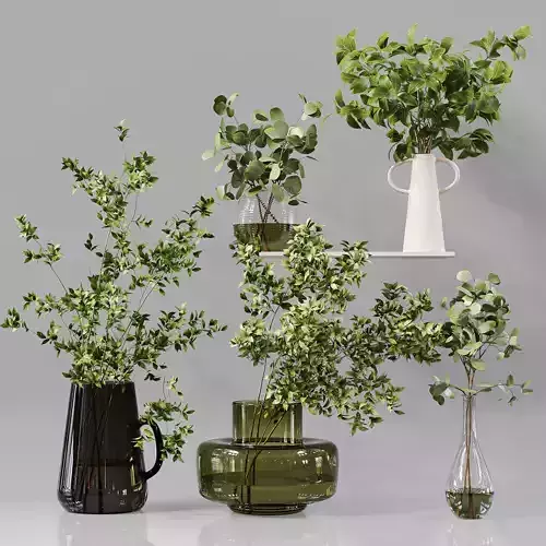 Collection Indoor Plants 01