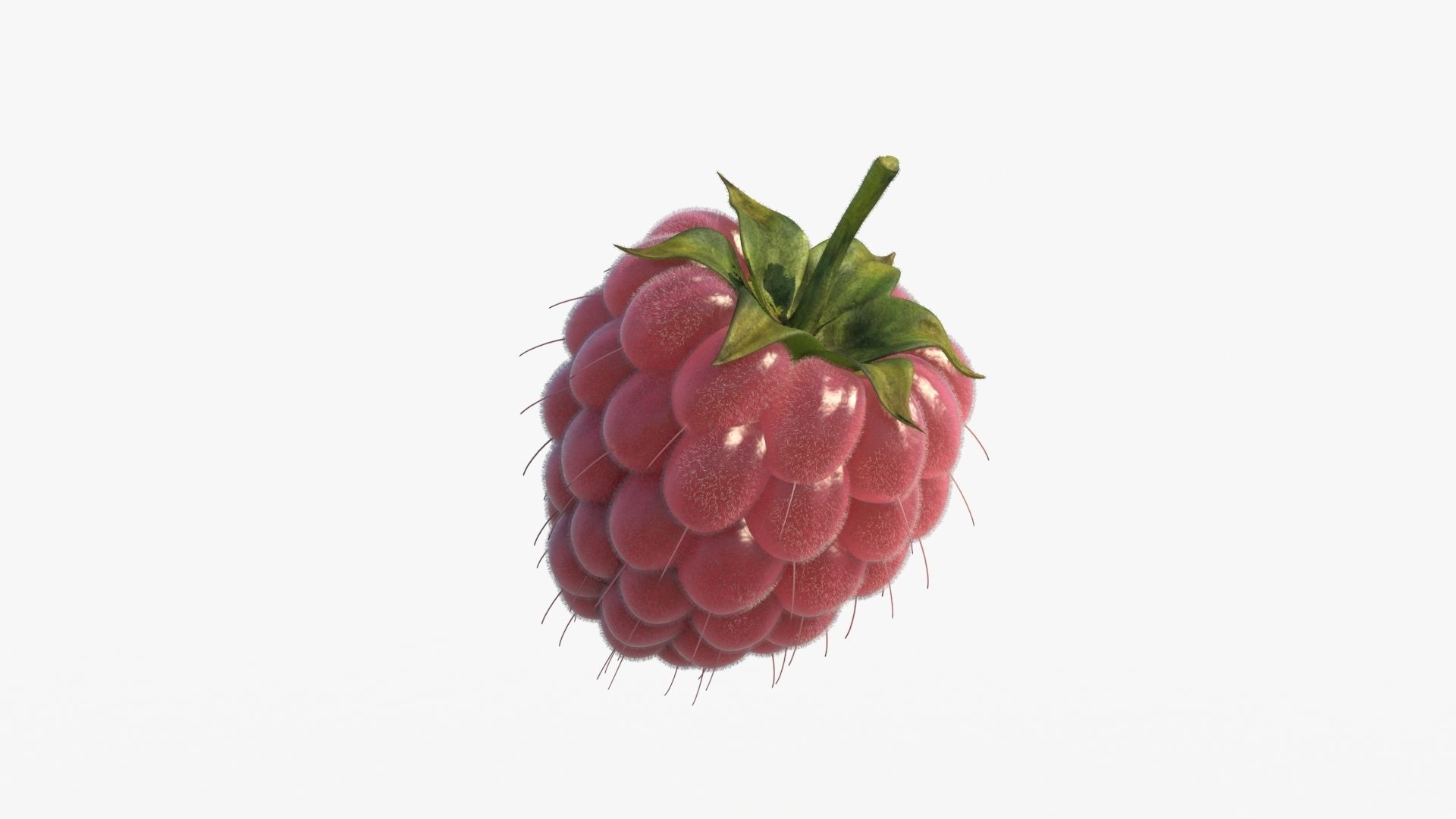 Raspberry 3D model_12