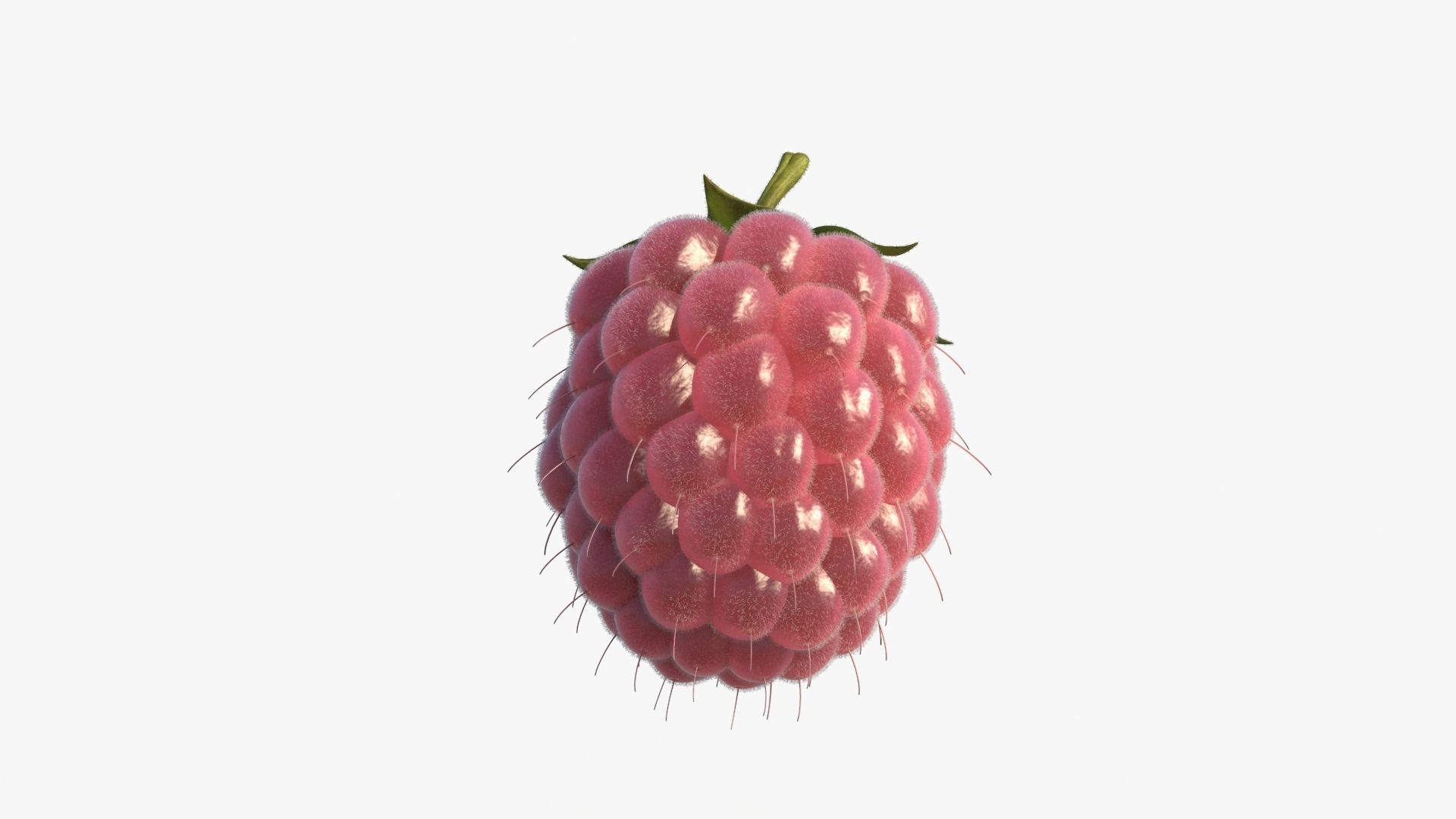 Raspberry 3D model_8