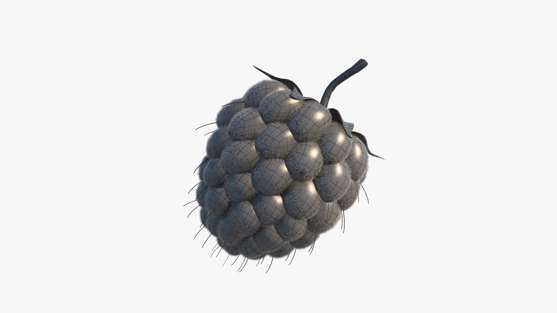 Raspberry 3D model_13