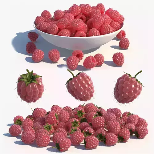 Raspberry 3D model