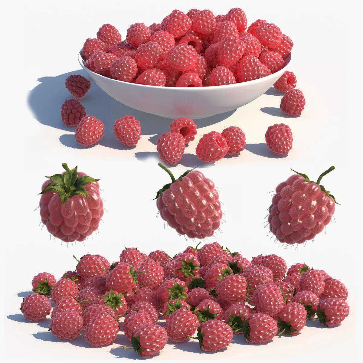 Raspberry 3D model_0