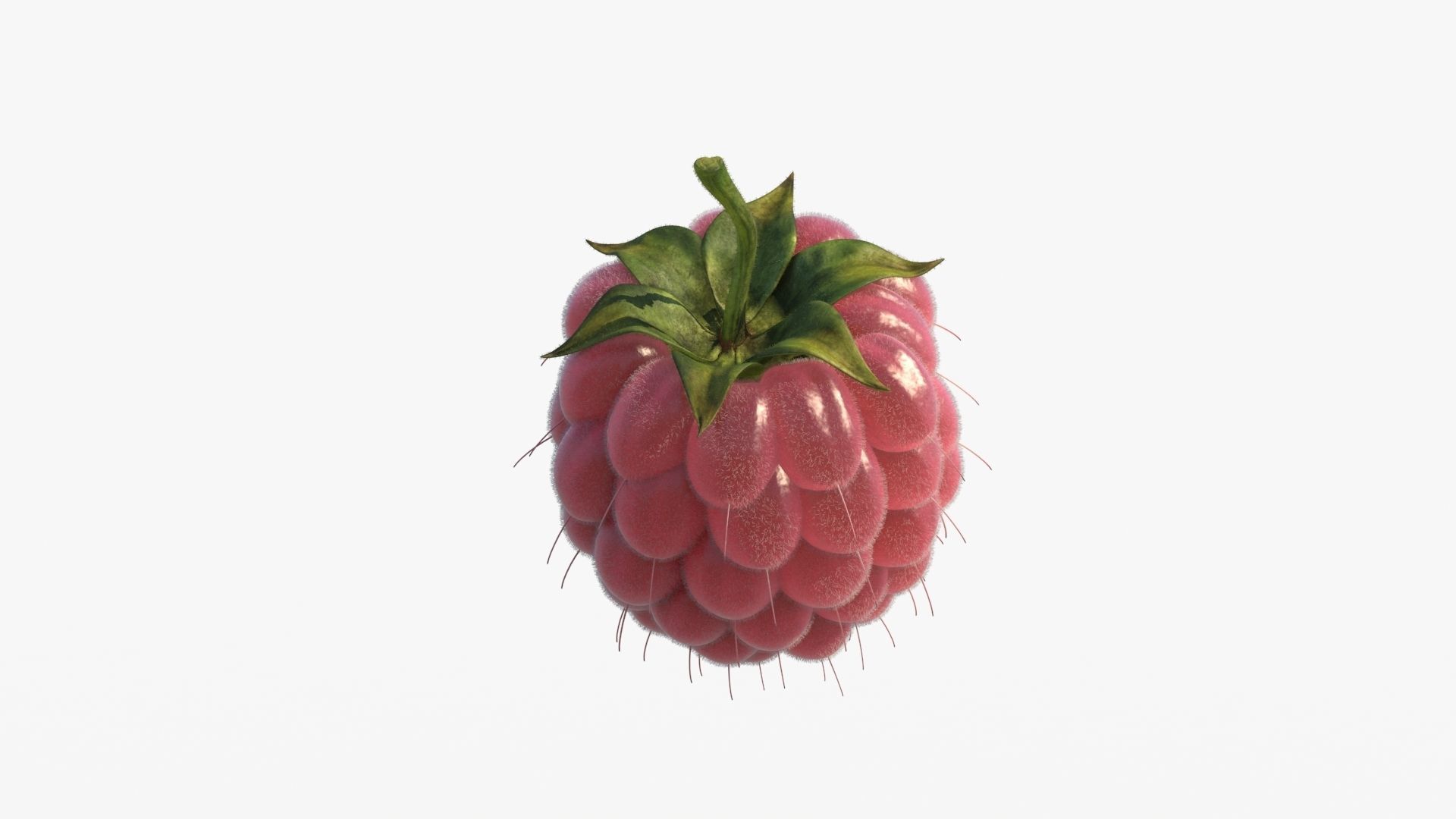 Raspberry 3D model_11