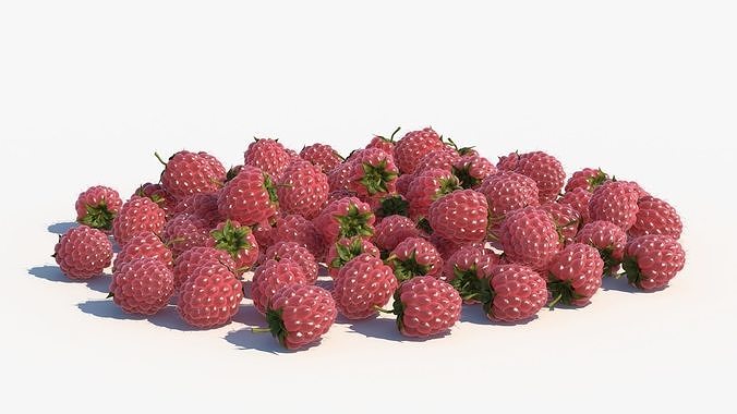 Raspberry 3D model 2