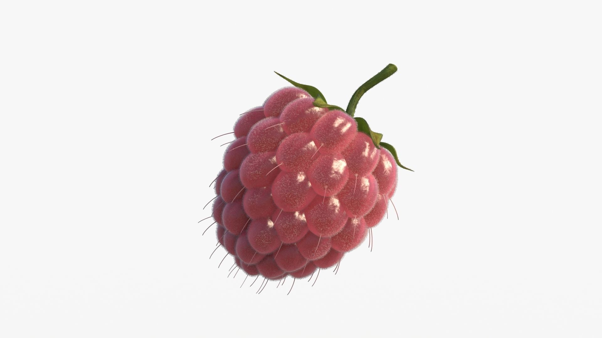 Raspberry 3D model_7