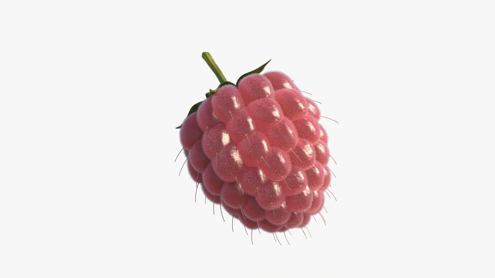 Raspberry 3D model_9