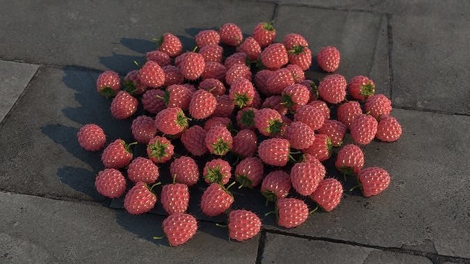 Raspberry 3D model 7