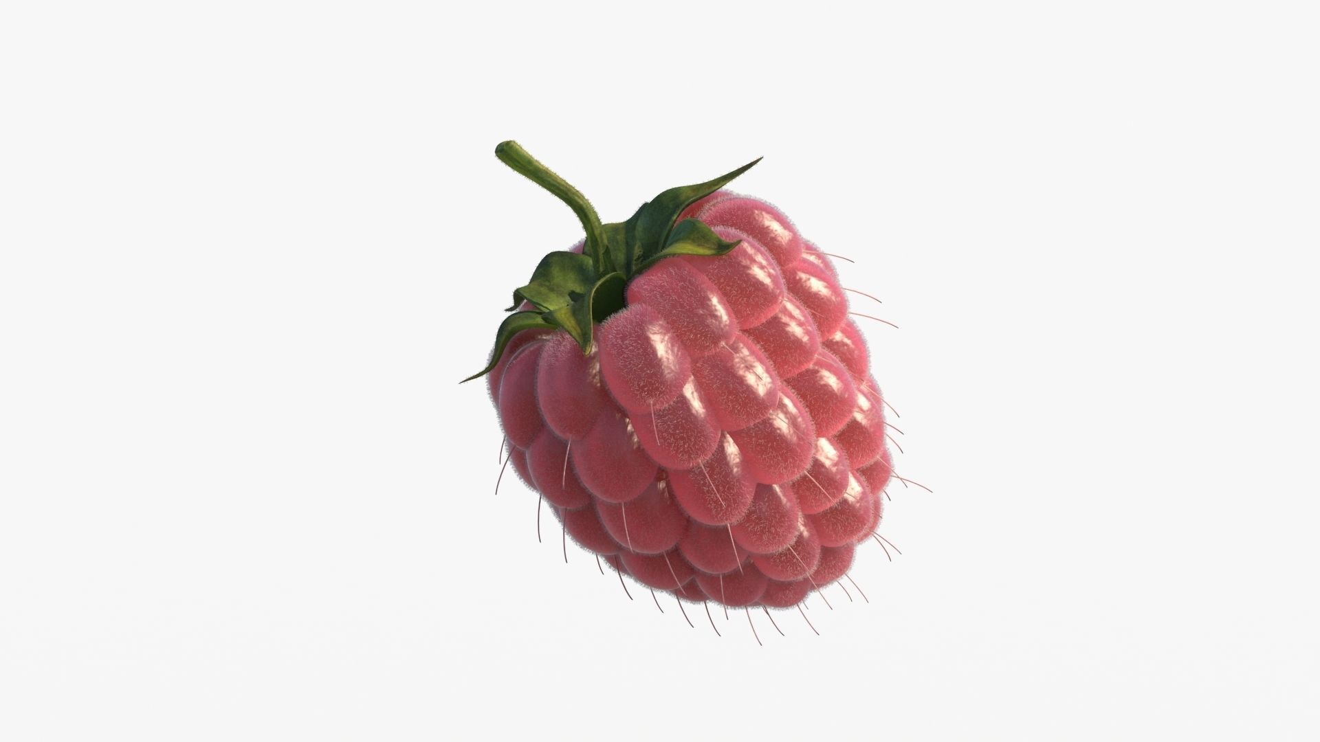Raspberry 3D model_10