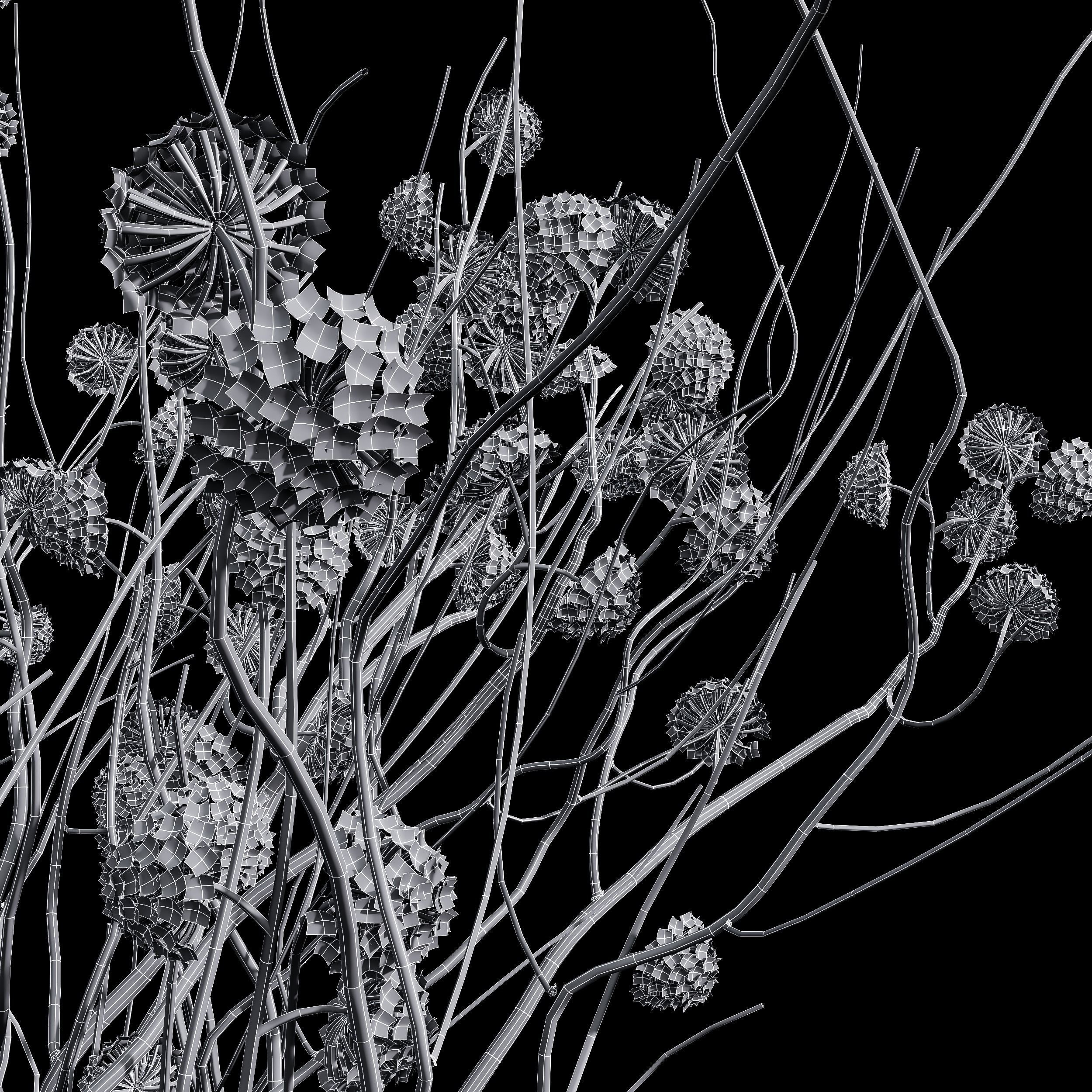 Viburnum Opulus Roseum Decorative Bush Edgeworthia 3D model_6