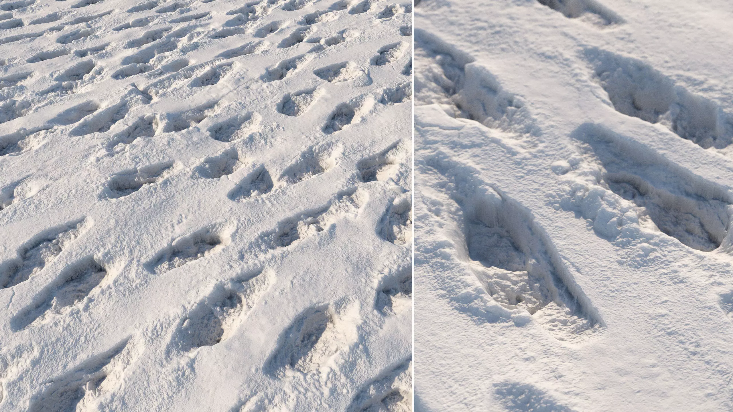 4k seamless snow area material 05 3D model_0