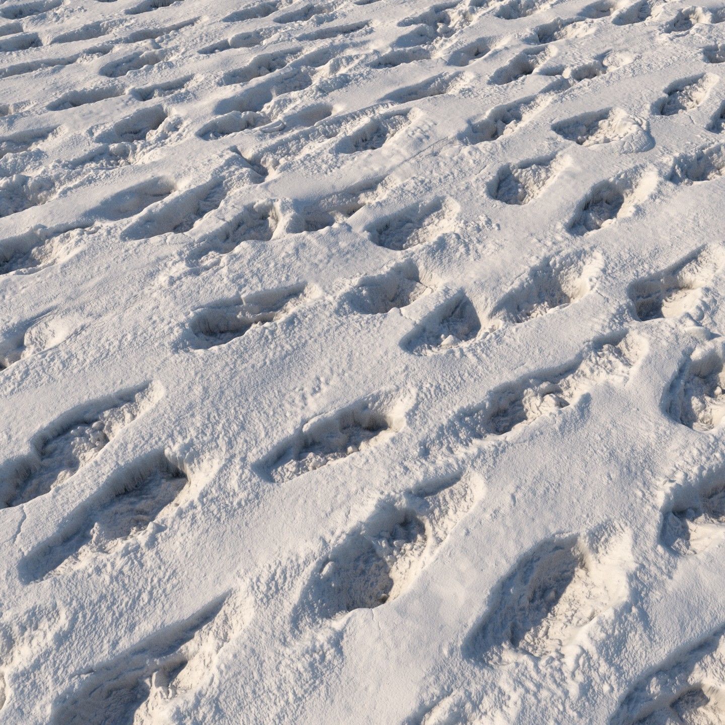4k seamless snow area material 05 3D model_3