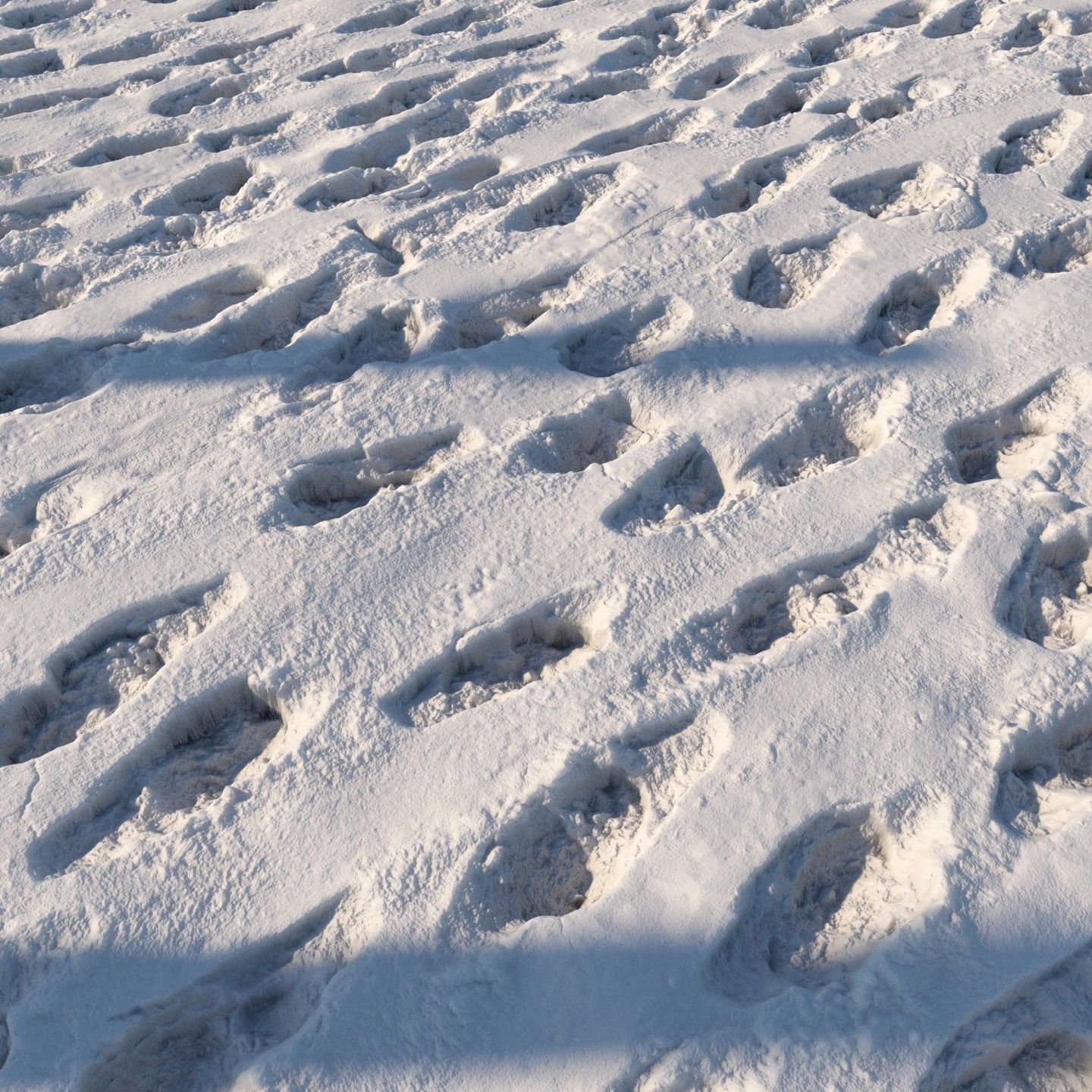 4k seamless snow area material 05 3D model_4