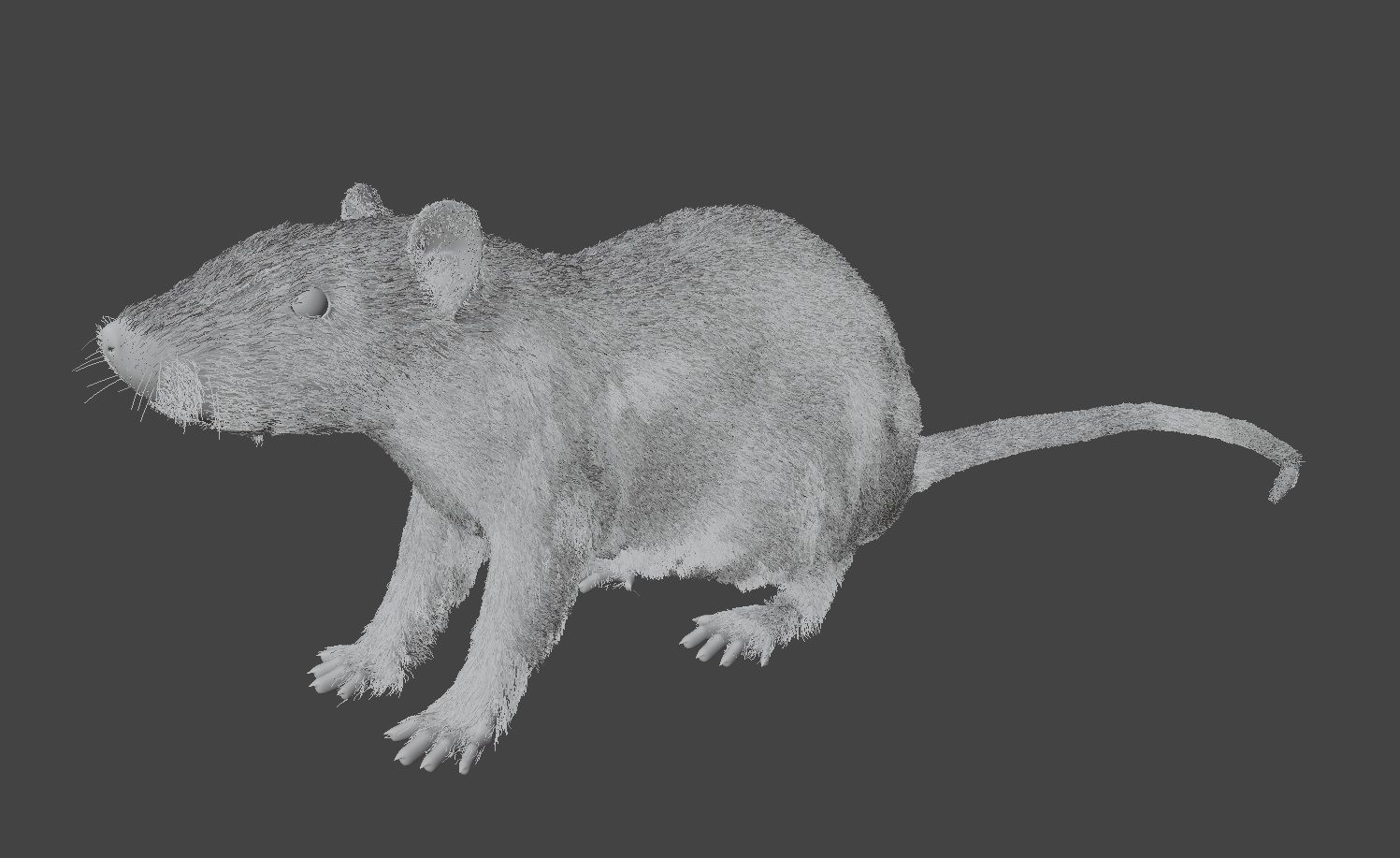 Rat Rigged Low-poly 3D model_8