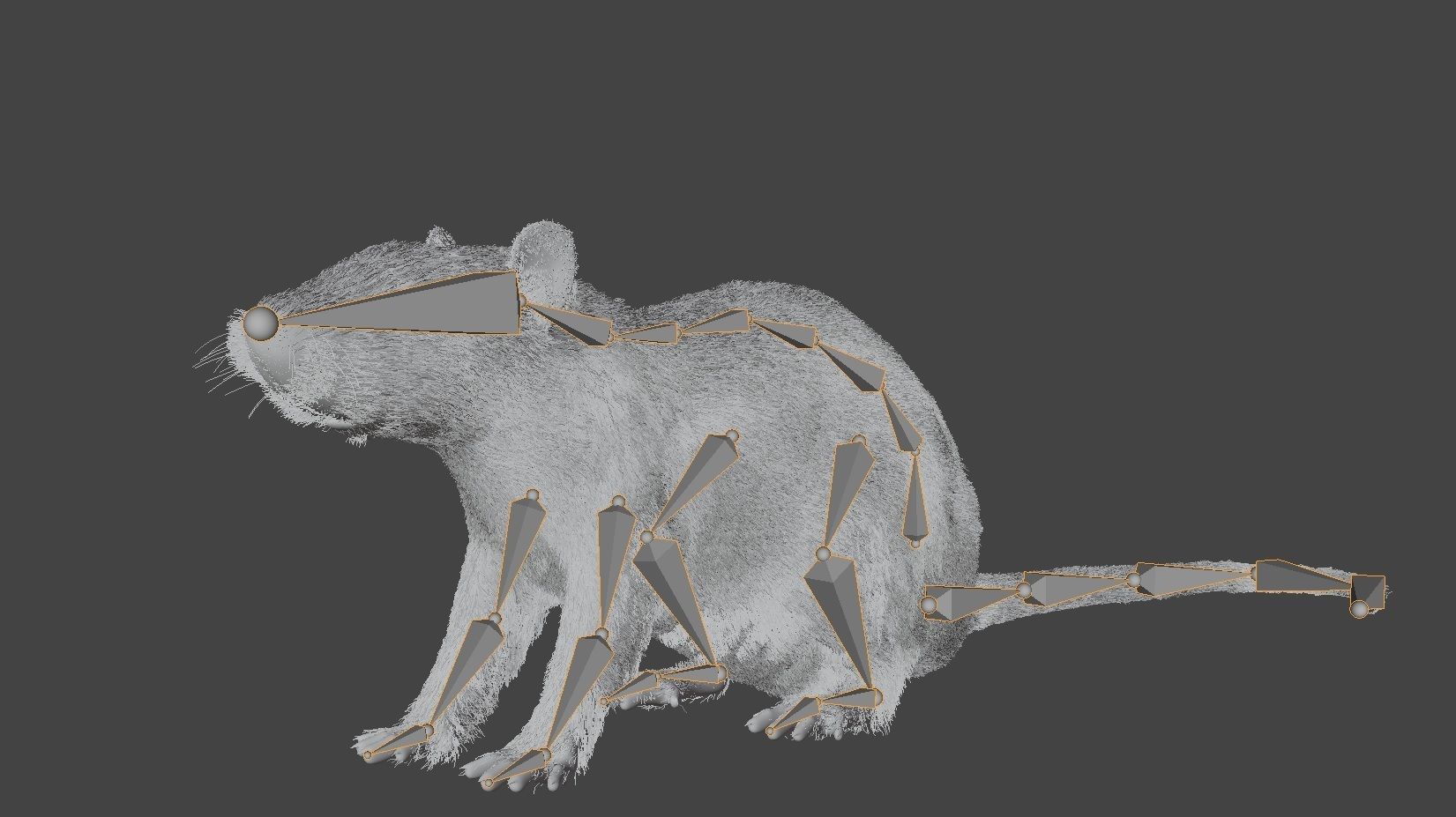 Rat Rigged Low-poly 3D model_7