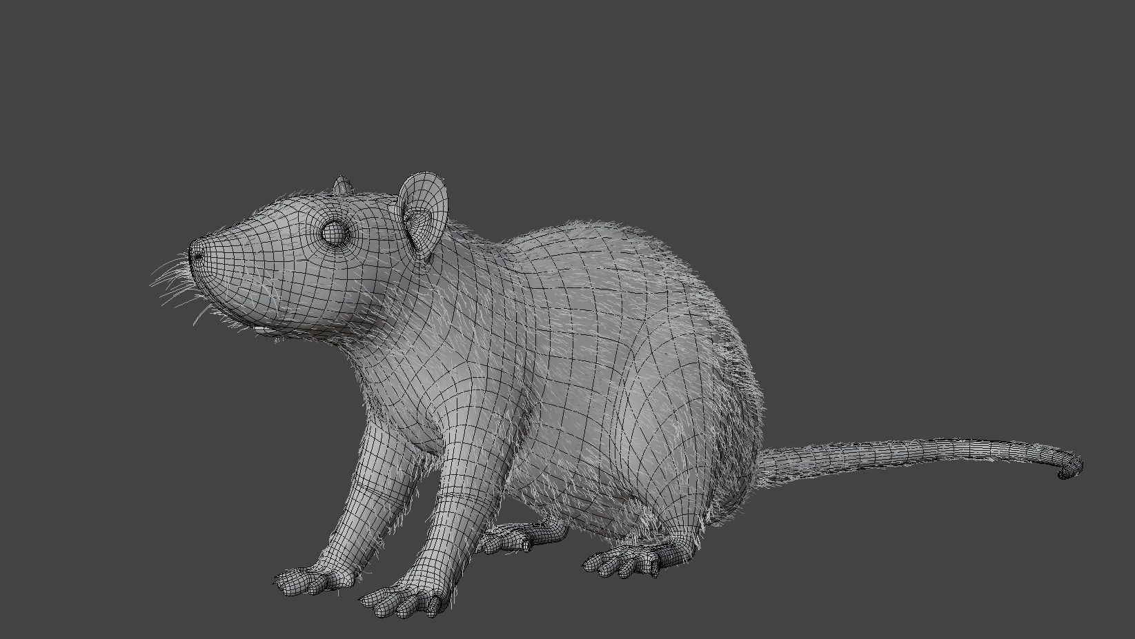 Rat Rigged Low-poly 3D model_6