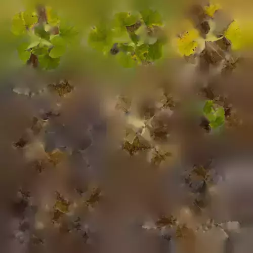 GREEN PLANTS Low-poly 3D model