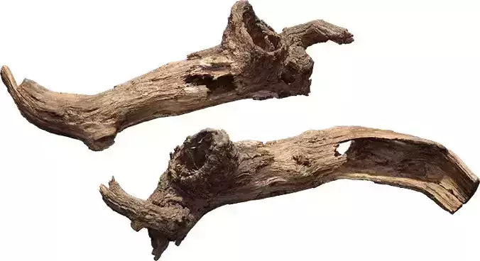 TREE BRANCH Low-poly 3D model