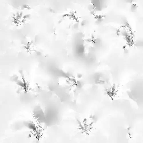 PLANTS ferns on screen