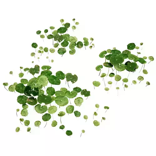 PLANTS pattern of circles Low-poly 3D model
