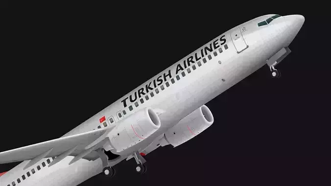 Boeing 737-800 Turkish Airlines
