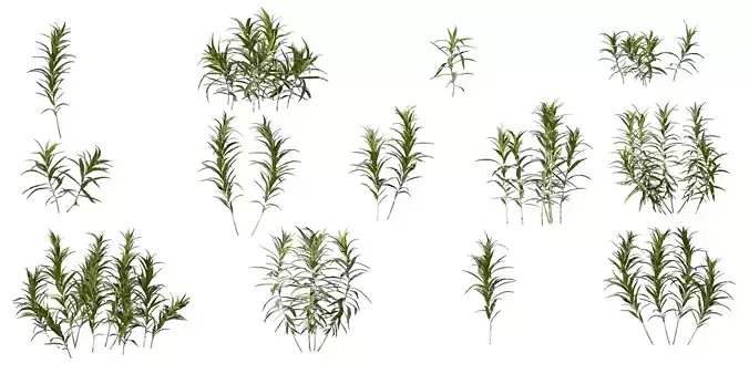 PLANTS grass sprites Low-poly 3D model