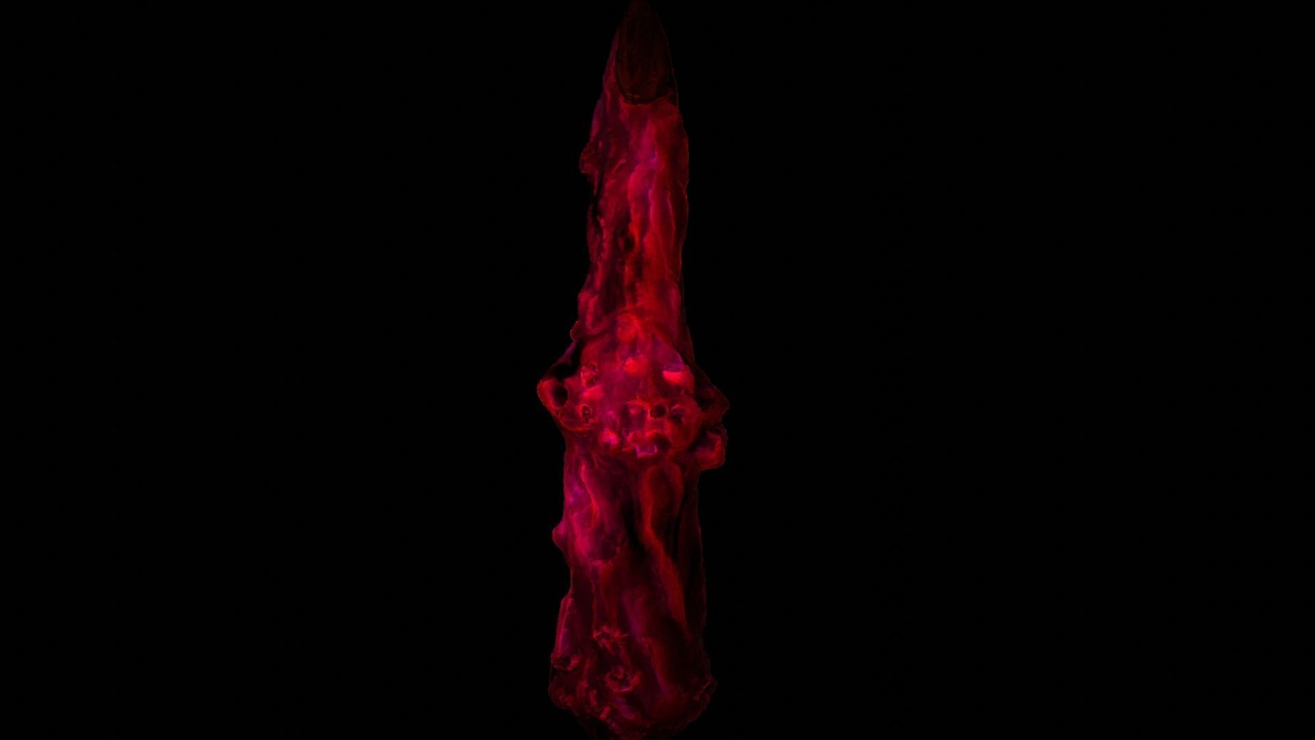 Sukuna Finger 3D Model Jujutsu kaisen 3D model_2