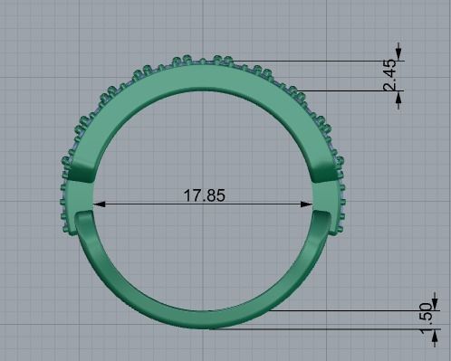 Jewellery Ring Nice 3d print model 19 3D print model_1