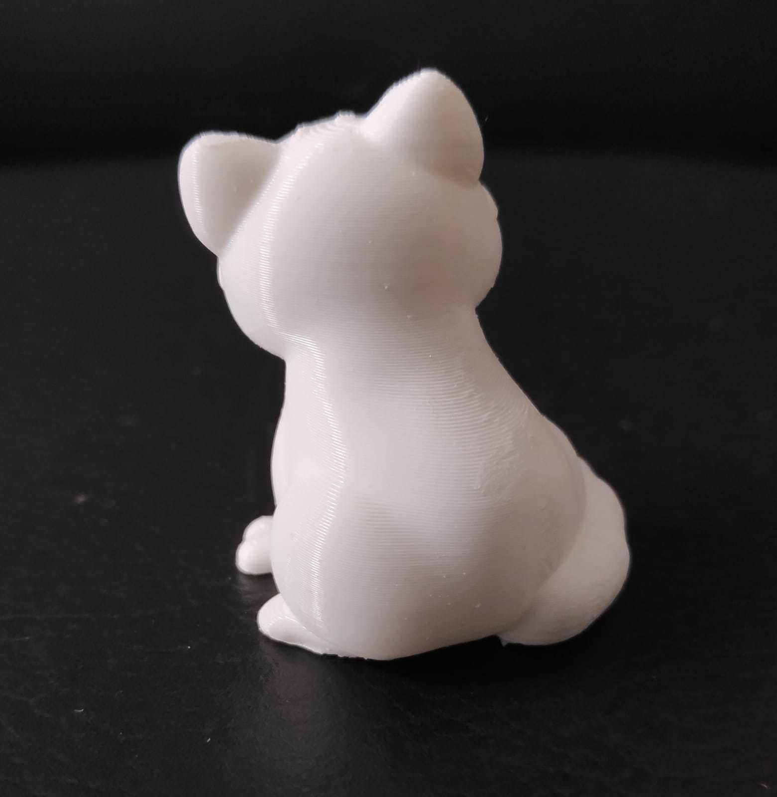 Pallas Cat 3D print model_7